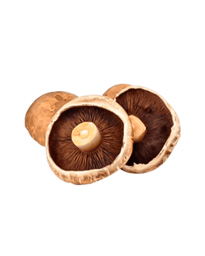 Cogumelo Portobello Ifrutus
