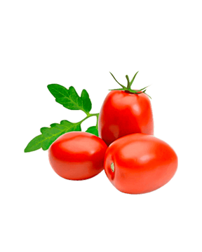 Tomate Italiano