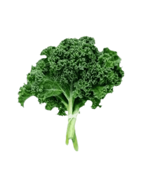 Couve Kale Verde Orgânica