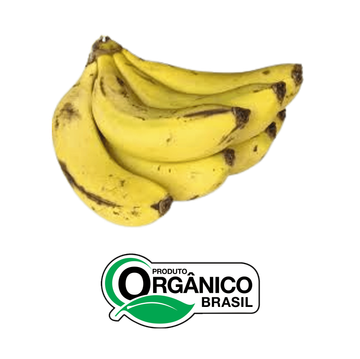 Banana Nanica Orgânica Capela da Penha