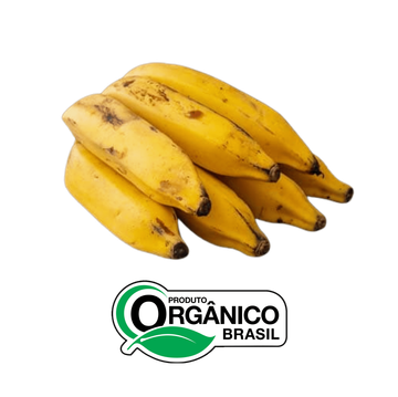 Banana Prata Orgânica Capela da Penha