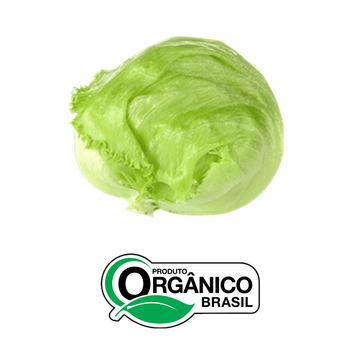 Alface Americana Orgânica Capela