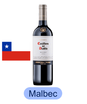 Casillero del Diablo Malbec Tinto