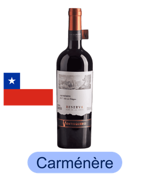 Ventisquero Carménère Tinto