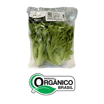Alface Crespa Orgânico